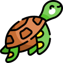 Sea turtle icon