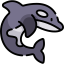 orca icon