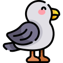 gaviota icon