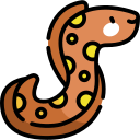 moray icon