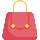 bolso icon