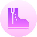 bota icon