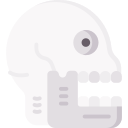 muerte icon