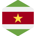 surinam icon