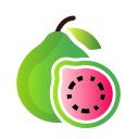 guayaba icon