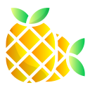 piña icon