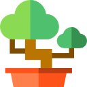 bonsai icon