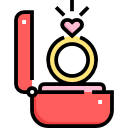 anillo icon