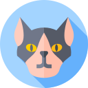 gato esfinge icon