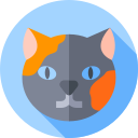 gato laperm icon