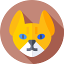 gato sabana icon