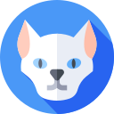 gato oriental icon