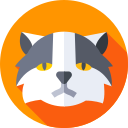 gato himalayo icon