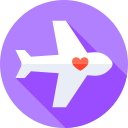 avión icon