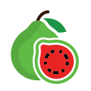 guayaba icon