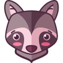 mapache icon