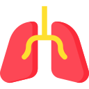 pulmones icon