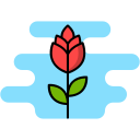 rosa icon