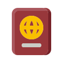 pasaporte icon