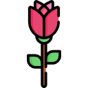 rosa icon