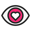 ojo icon