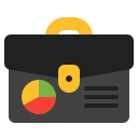 portafolio icon