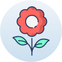 girasol icon