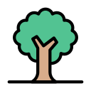 Árbol icon