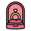 anillo icon