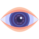 ojo icon