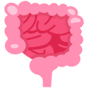 intestino icon