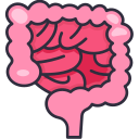 intestino icon