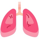 pulmones icon