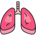 pulmones icon