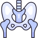 pelvis icon