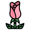 rosa icon