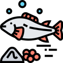 salmón icon