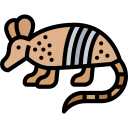 armadillo icon