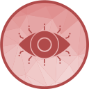 ojo icon