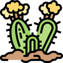 cactus icon