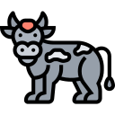 vaca icon