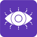 ojo icon