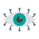 ojo icon