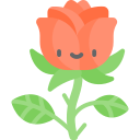 rosa