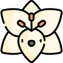 lirio icon