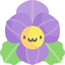 viola 