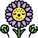 aster icon