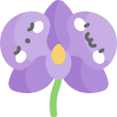 orquídea