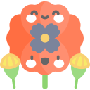 amapola 