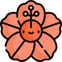 hibisco icon